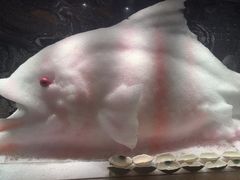 -雍容荟帝王蟹活龙虾展台自助(IFS黑金店)