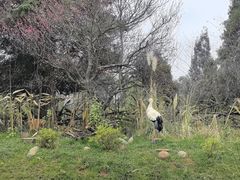 -云南野生动物园