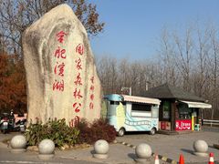 -合肥滨湖国家森林公园