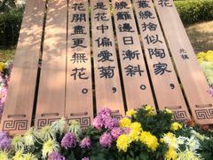 -青岛中山公园-索道售票处