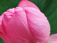 -东山雕花楼