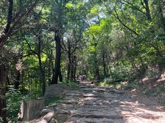 -阳台山自然风景区