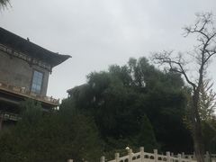 -迎泽公园