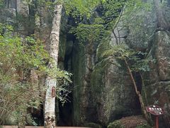 -汤旺河林海奇石景区