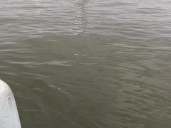 -滴水湖帆船营地