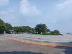 -贡湖湾湿地公园