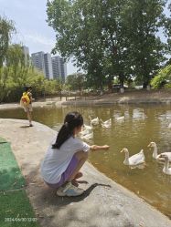 -上美四季动物农场