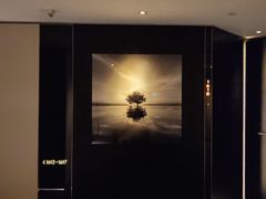 -尼依格罗香港美利酒店