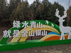 -东郊湿地公园