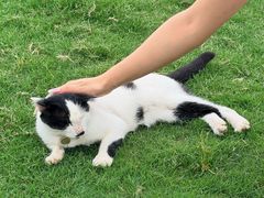 -帐篷客·溪龙茶谷度假酒店