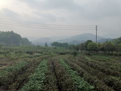 -贡椒鱼老店·雅安十大名店