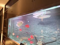 -手佳·水疗汇(嘉益店)