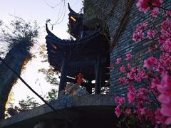 -朴园