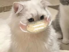 -姐弟俩土豆粉(西安小寨店)