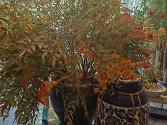-和子足浴SPA会馆(梁溪店)