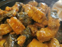 娃娃鱼-荔城生鲜盛宴(番禺旗舰店)