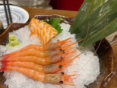 -鮨玖•刺身•烧鸟居酒屋(浦东南路店)