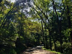 -萨尔浒风景区