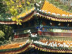 -天龙宝严素食馆(大兴善寺店)