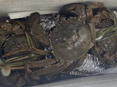 -阳澄湖大闸蟹·琼灵阁牌品牌连锁(吴中总店)