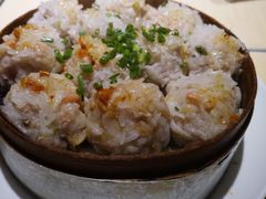 珍珠丸-四星望月(中联店)