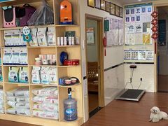 -千城康桥宠物医院·猫科·骨科·心脏