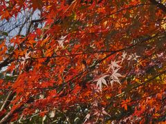 -杭州半山国家森林公园