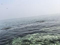 -烟台山景区