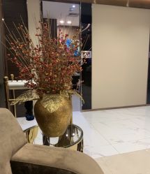 -DR REBORN医疗美容