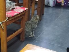 -老北京褡裢火烧·任记