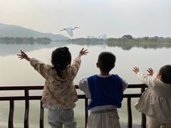 -长兴太湖图影湿地文化园