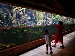 -华夏文旅海洋公园