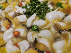 青花椒味砂锅鱼-青花椒花椒鱼(合生汇店)