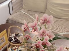 -施奈儿.洗头頭療.按摩SPA.采耳(上梅林店)