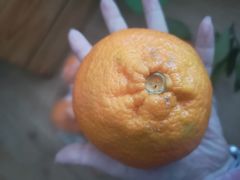 -家辉生鲜超市(东五路店)