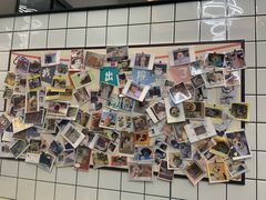 -半岛宠物医院24小时(科华中路店)