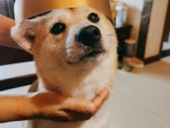 -半勺舒舒生日蛋糕店