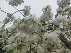 -元大都城垣遗址公园