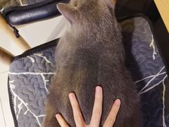 -平行世界·猫咖(首经贸店)