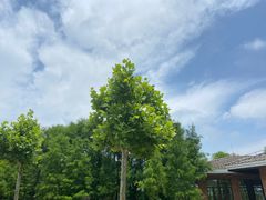 -上海海湾国家森林公园