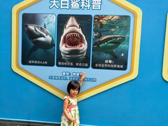 -海合安成都极地海洋公园