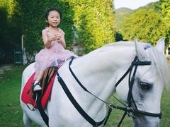 -梦娜斯庄园