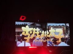 -枫花园汽车电影院(朝阳公园店)