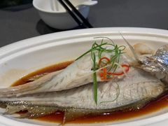 姜汁深海黄鱼-狮王府淮扬菜(新街口友谊店)