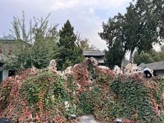 -莲池书院博物馆