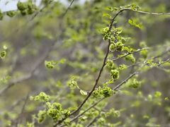 -白水寺森林公园