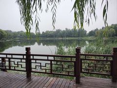 -北坞公园