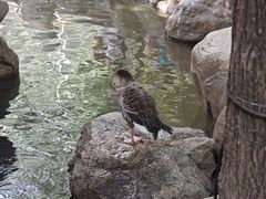 -西安世博园