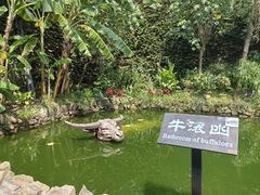 -燊海井