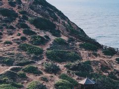 -杨梅坑